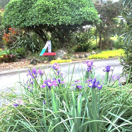 U Beauty - B & B Whangarei Extérieur photo